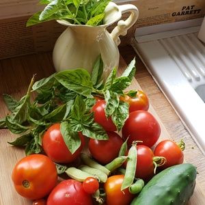 Meet your Posher, Iona